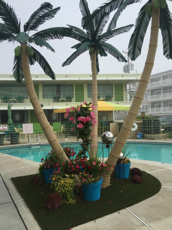 וויילדווד קרסט Caribbean Motel מראה חיצוני תמונה