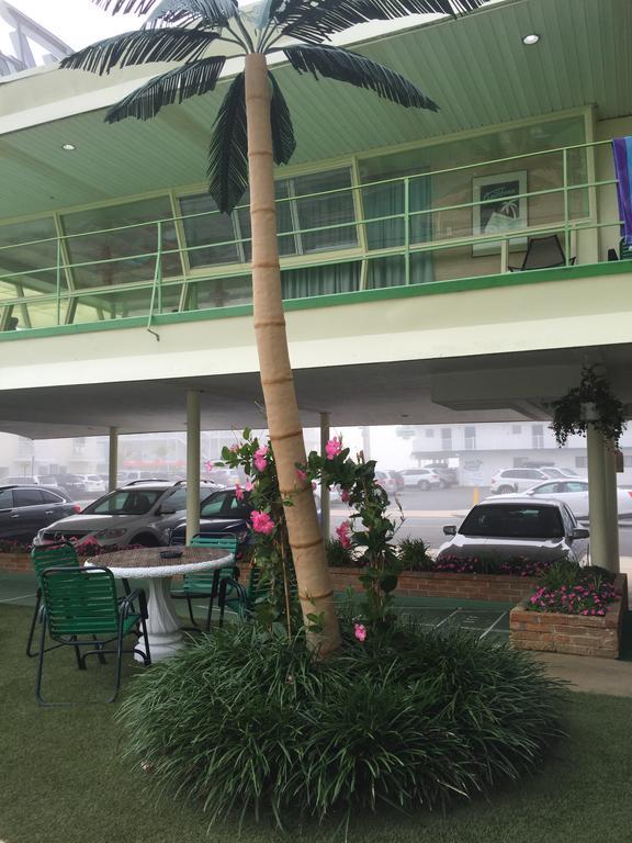 וויילדווד קרסט Caribbean Motel מראה חיצוני תמונה